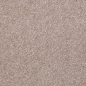 SHAW FLOORS VALUE: LE MORNE
