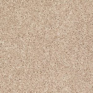 SHAW FLOORS VALUE: BV ISLAND