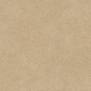 SHAW FLOORS RETAIL: ARASHI BEACH