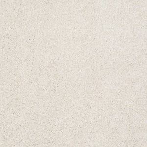 SHAW FLOORS NET: VA108