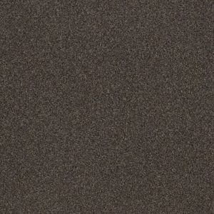 SHAW FLOORS NET: VA109