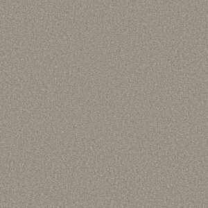 SHAW FLOORS NET: VA139