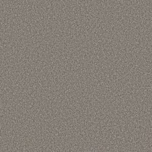 SHAW FLOORS NET: VA140