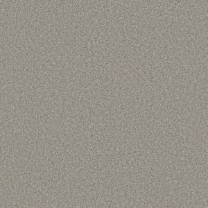 SHAW FLOORS NET: VA141