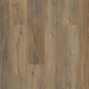 CORETEC: CORETEC PRO PLUS ENHANCED PLAN